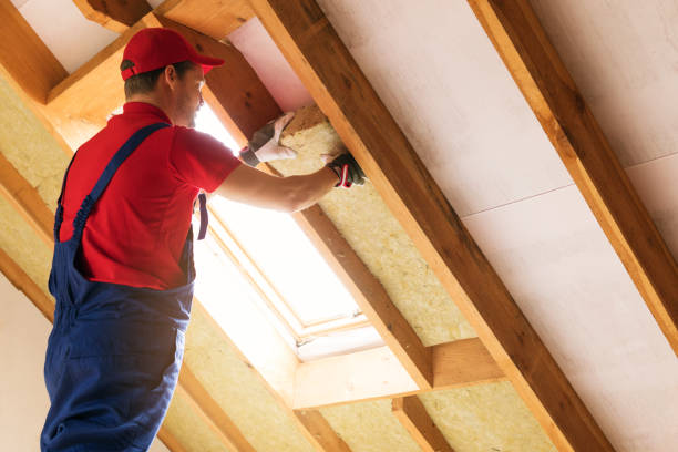 Best Insulation for New Construction  in Hidden Valley Lake, CA